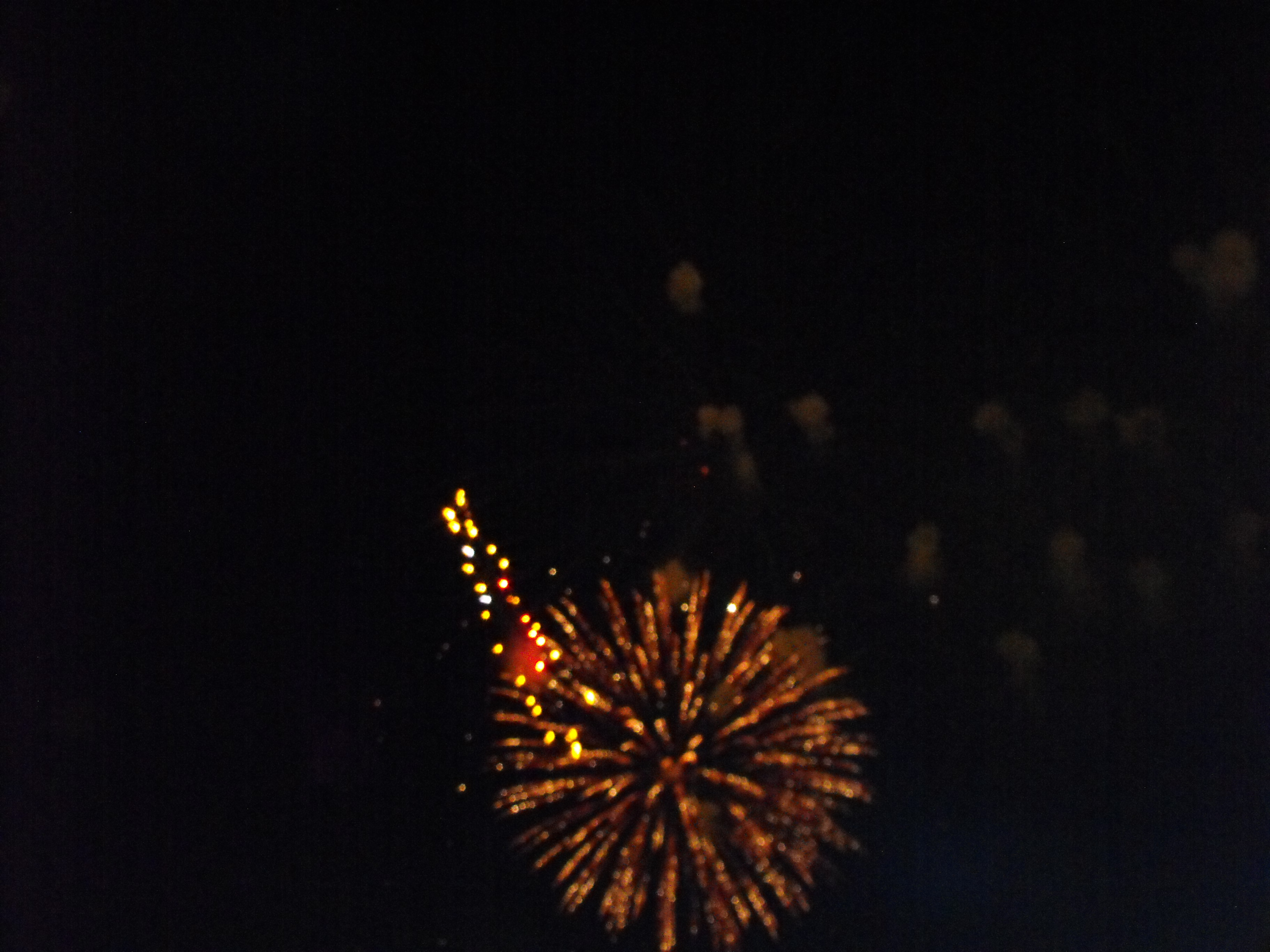 ./2010/Fourth of July/4th July Fireworks Wilm 0046.JPG